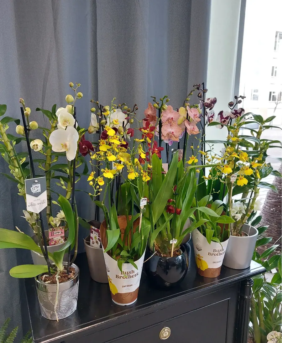 L’atelier MC Maison des Créations réalisée par MC Maison des Créations, fleuriste à Beuvrages
