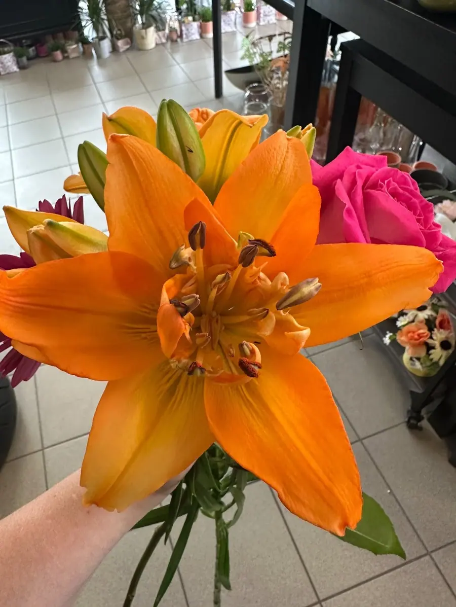 Album Le détail des fleurs