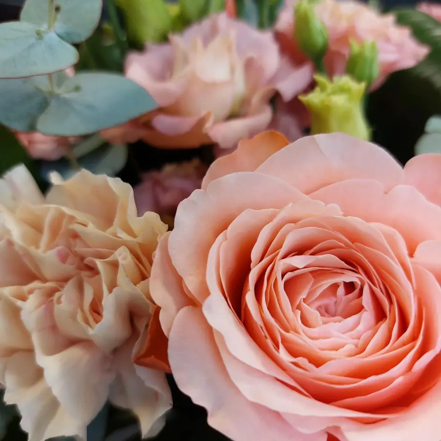 Gros plan de fleurs fraîches réalisée par MC Maison des Créations, fleuriste à Beuvrages