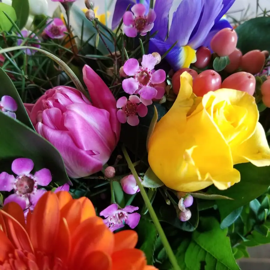 Gros plan de fleurs fraîches réalisée par MC Maison des Créations, fleuriste à Beuvrages