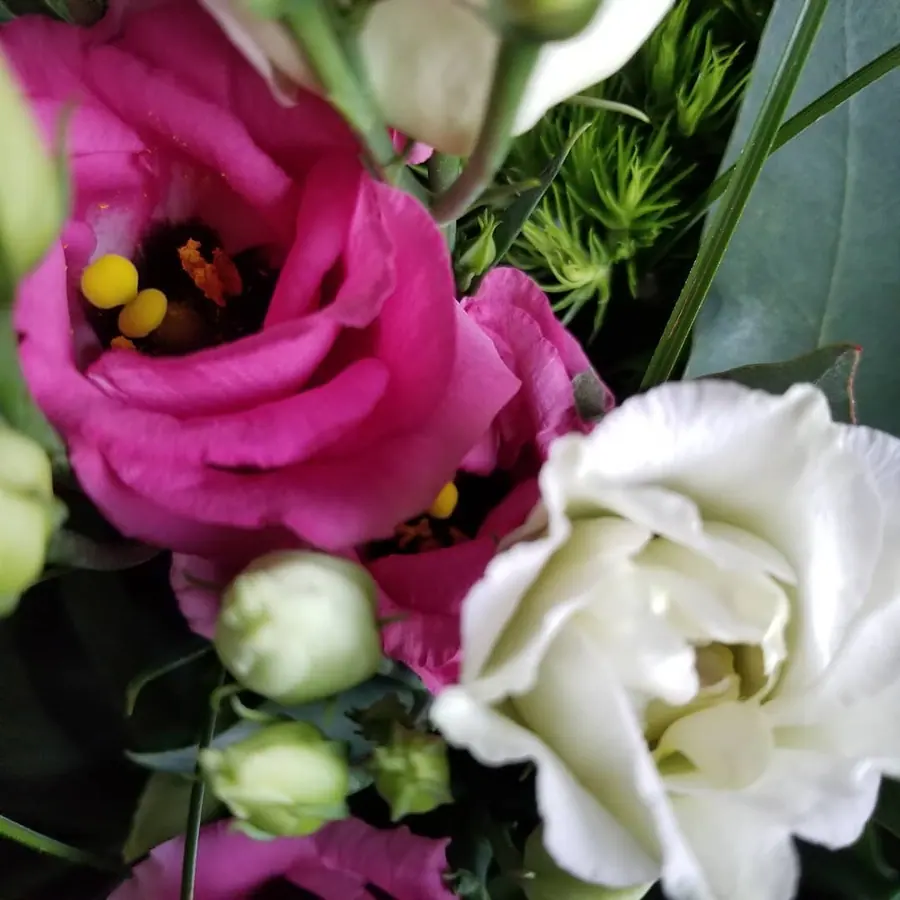 Gros plan de fleurs fraîches réalisée par MC Maison des Créations, fleuriste à Beuvrages