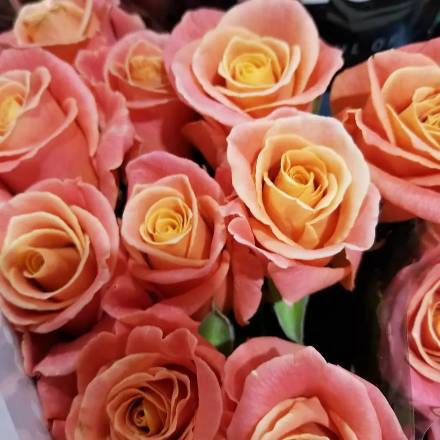 Gros plan de fleurs fraîches réalisée par MC Maison des Créations, fleuriste à Beuvrages