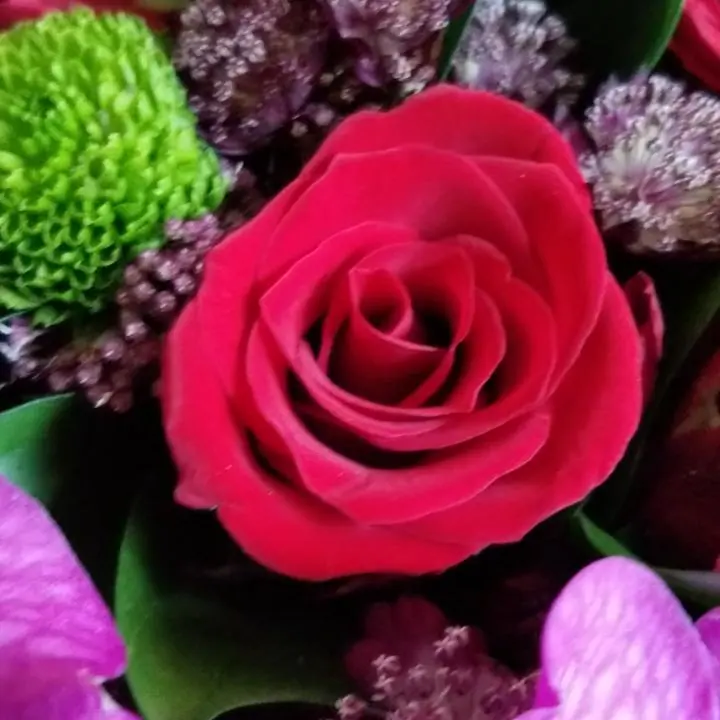 Gros plan de fleurs fraîches réalisée par MC Maison des Créations, fleuriste à Beuvrages