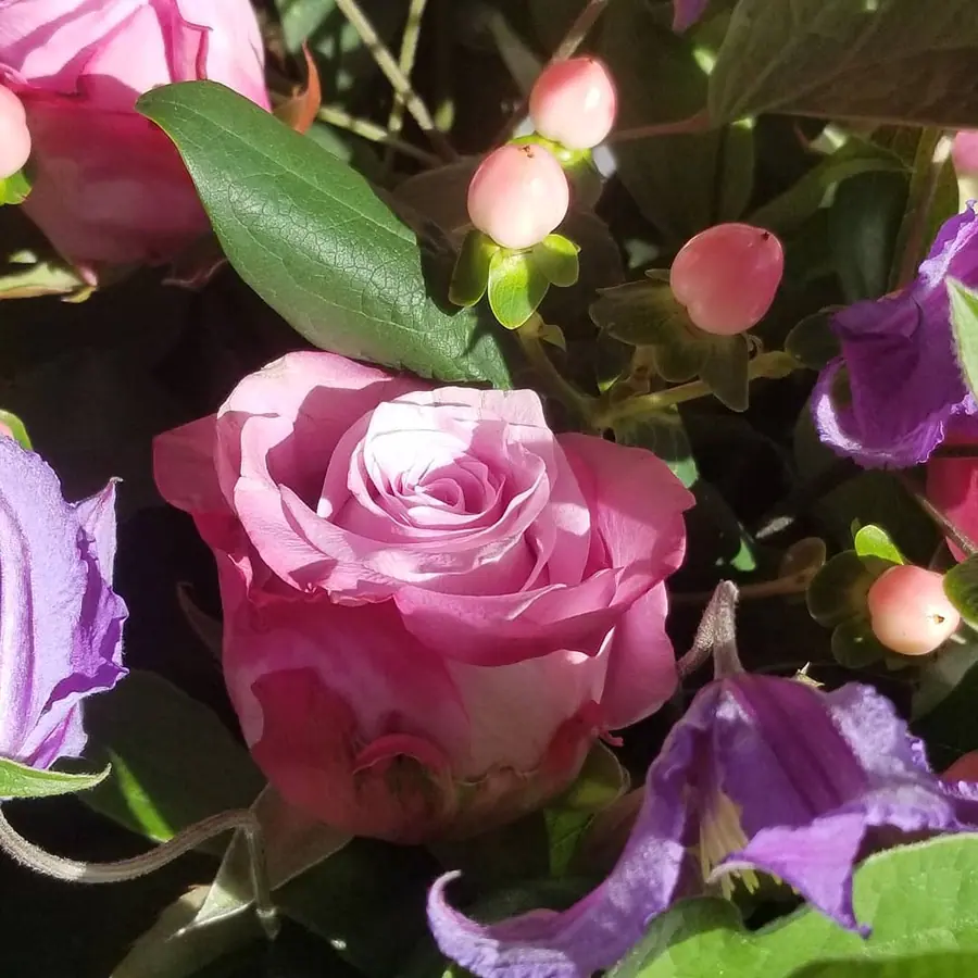 Gros plan de fleurs fraîches réalisée par MC Maison des Créations, fleuriste à Beuvrages