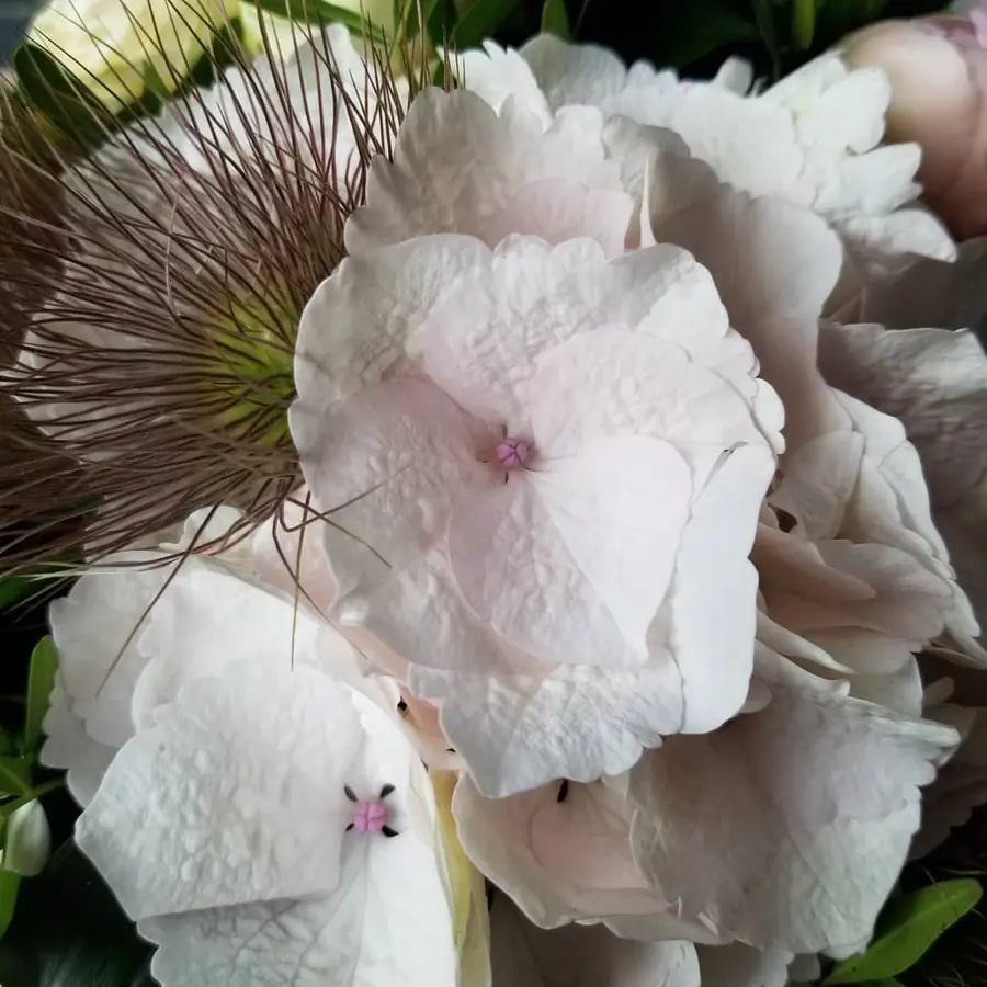 Gros plan de fleurs fraîches réalisée par MC Maison des Créations, fleuriste à Beuvrages