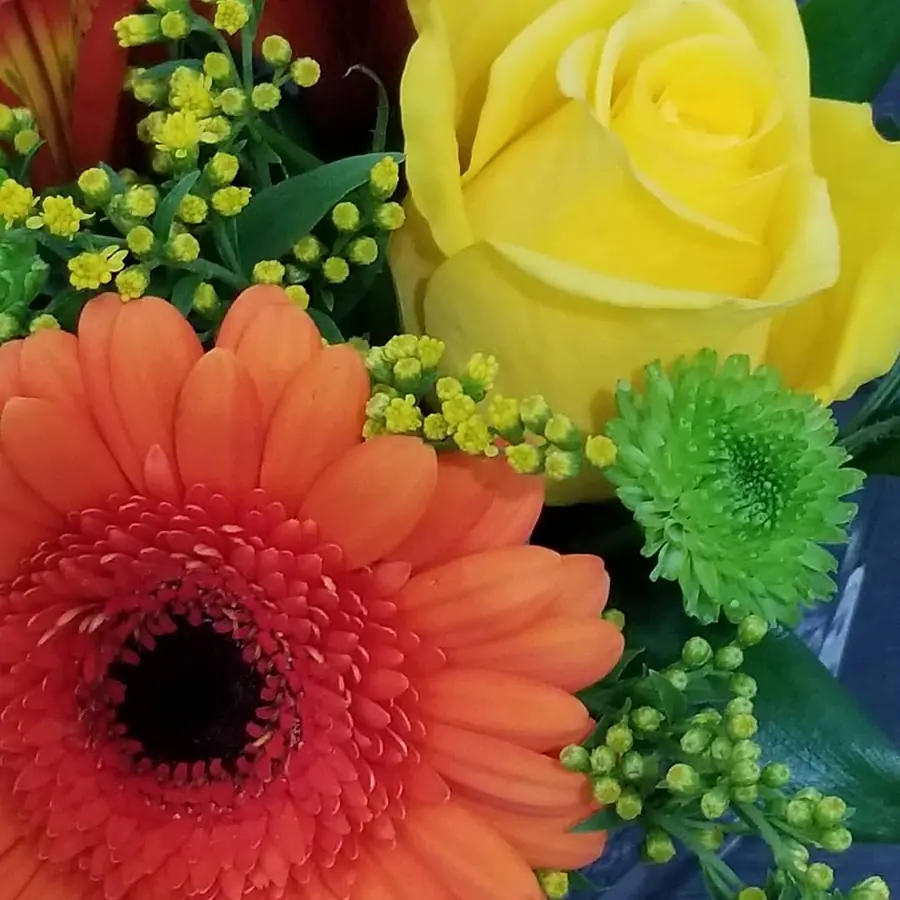 Gros plan de fleurs fraîches réalisée par MC Maison des Créations, fleuriste à Beuvrages