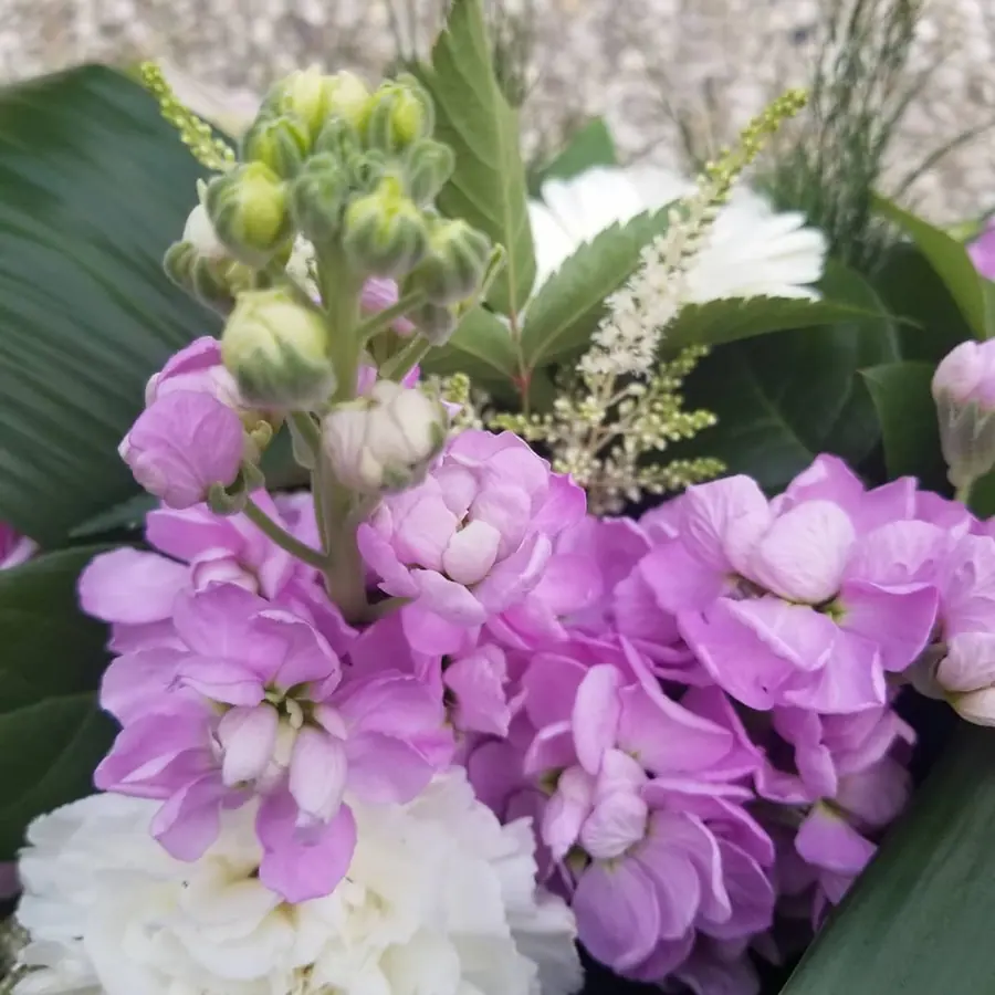 Gros plan de fleurs fraîches réalisée par MC Maison des Créations, fleuriste à Beuvrages