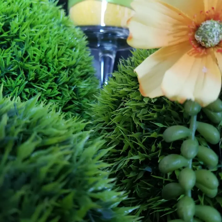 Gros plan de fleurs fraîches réalisée par MC Maison des Créations, fleuriste à Beuvrages