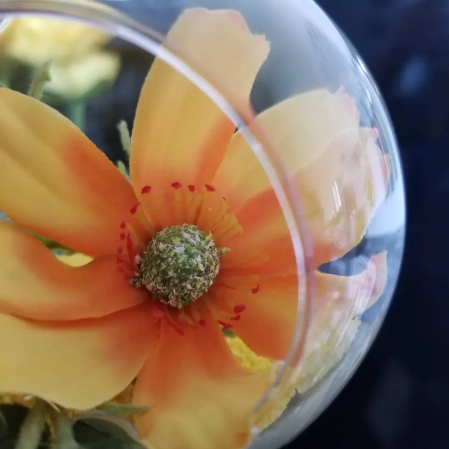 Gros plan de fleurs fraîches réalisée par MC Maison des Créations, fleuriste à Beuvrages
