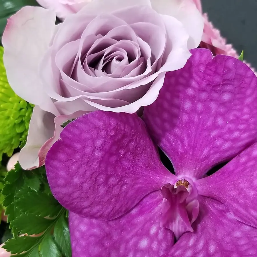 Gros plan de fleurs fraîches réalisée par MC Maison des Créations, fleuriste à Beuvrages