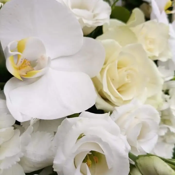 Gros plan de fleurs fraîches réalisée par MC Maison des Créations, fleuriste à Beuvrages