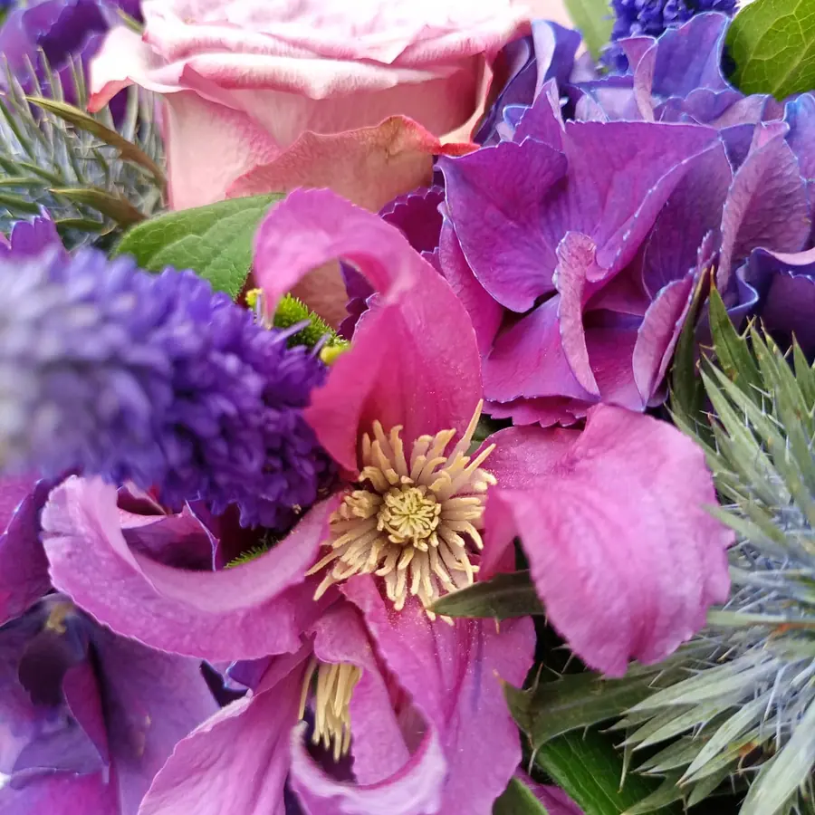 Gros plan de fleurs fraîches réalisée par MC Maison des Créations, fleuriste à Beuvrages