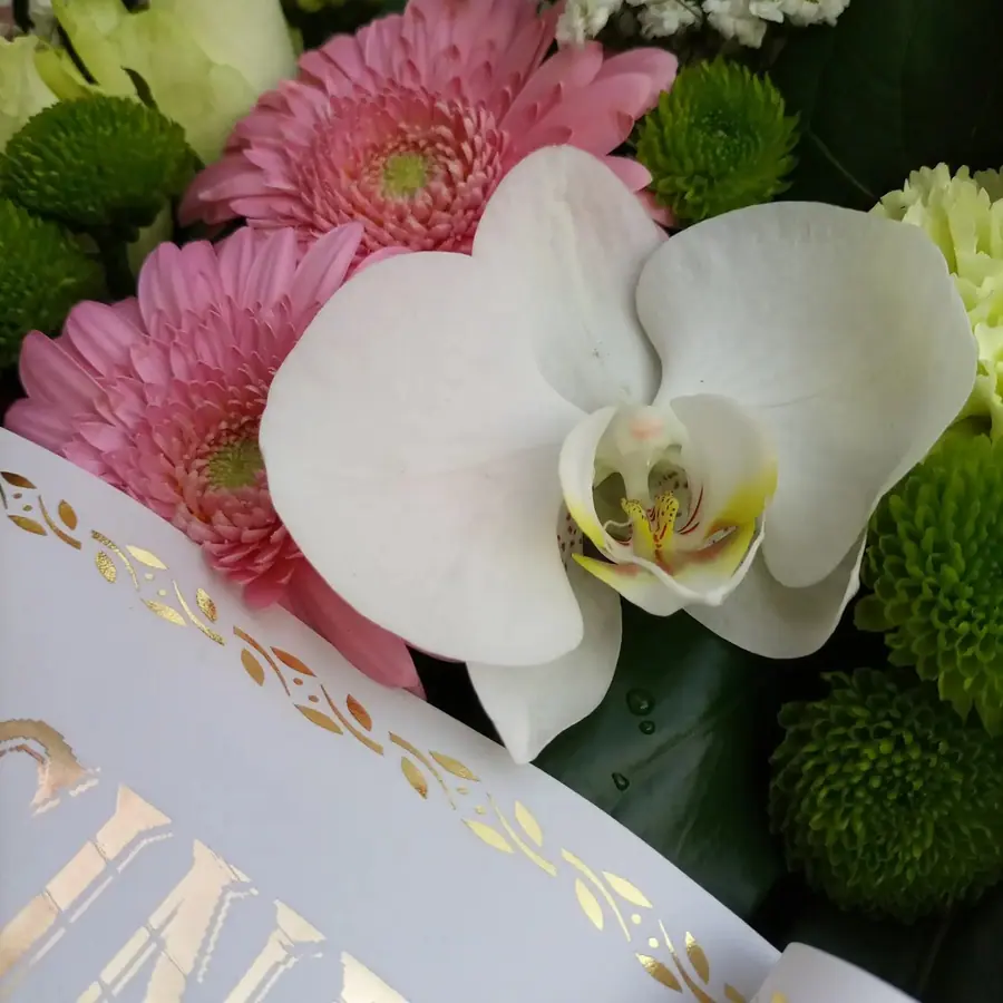 Gros plan de fleurs fraîches réalisée par MC Maison des Créations, fleuriste à Beuvrages