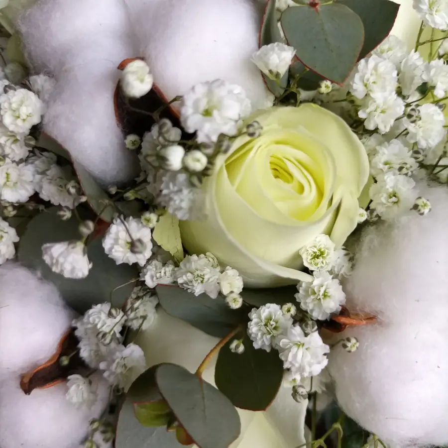Gros plan de fleurs fraîches réalisée par MC Maison des Créations, fleuriste à Beuvrages