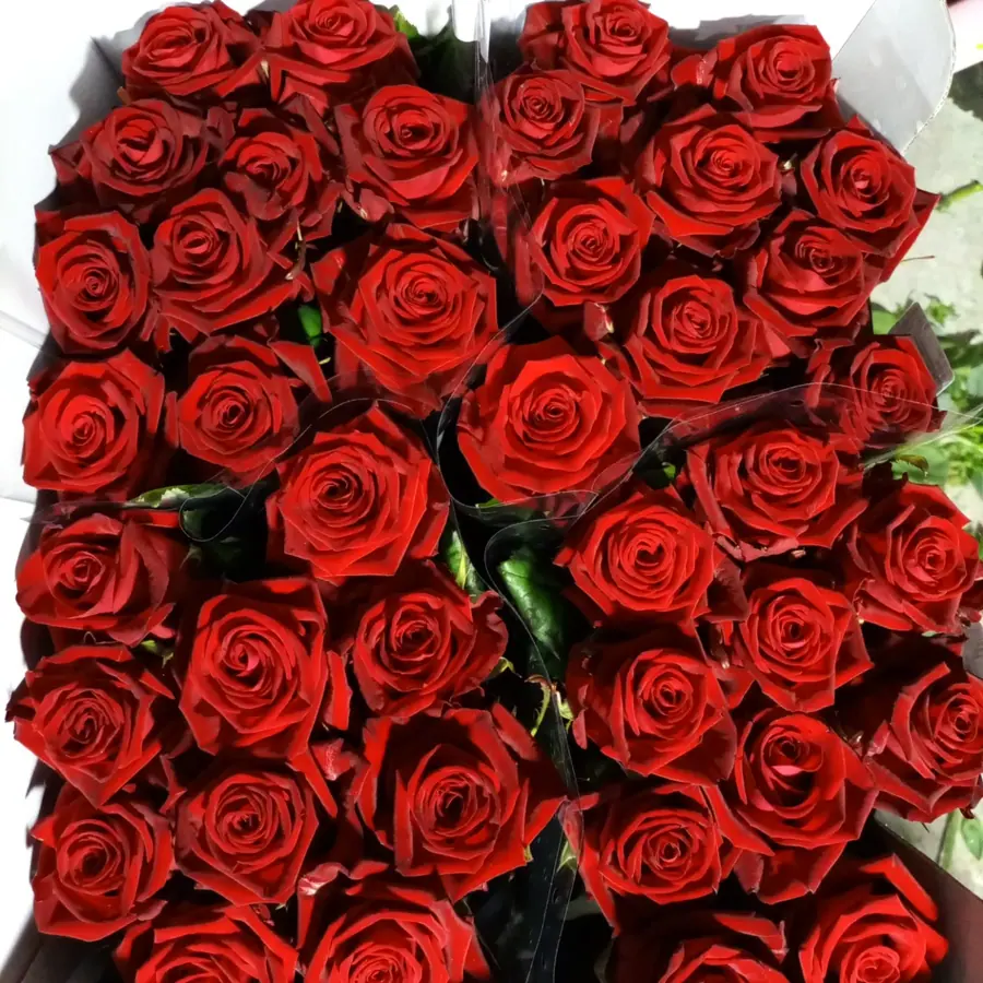 Gros plan de fleurs fraîches réalisée par MC Maison des Créations, fleuriste à Beuvrages