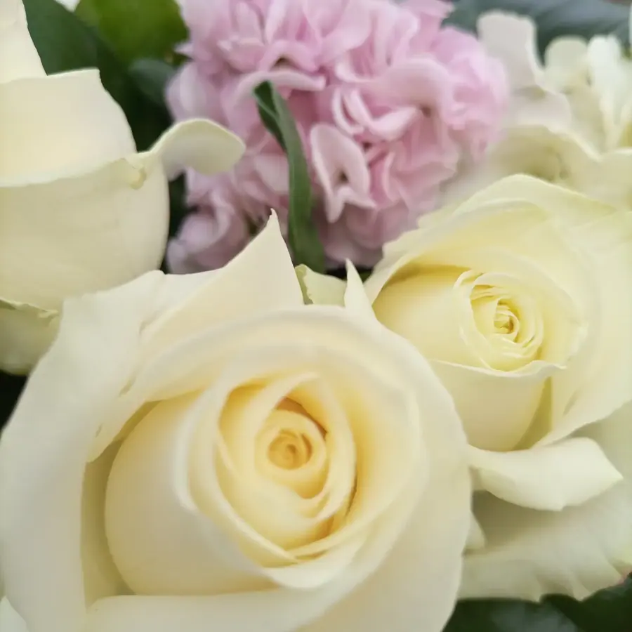 Gros plan de fleurs fraîches réalisée par MC Maison des Créations, fleuriste à Beuvrages