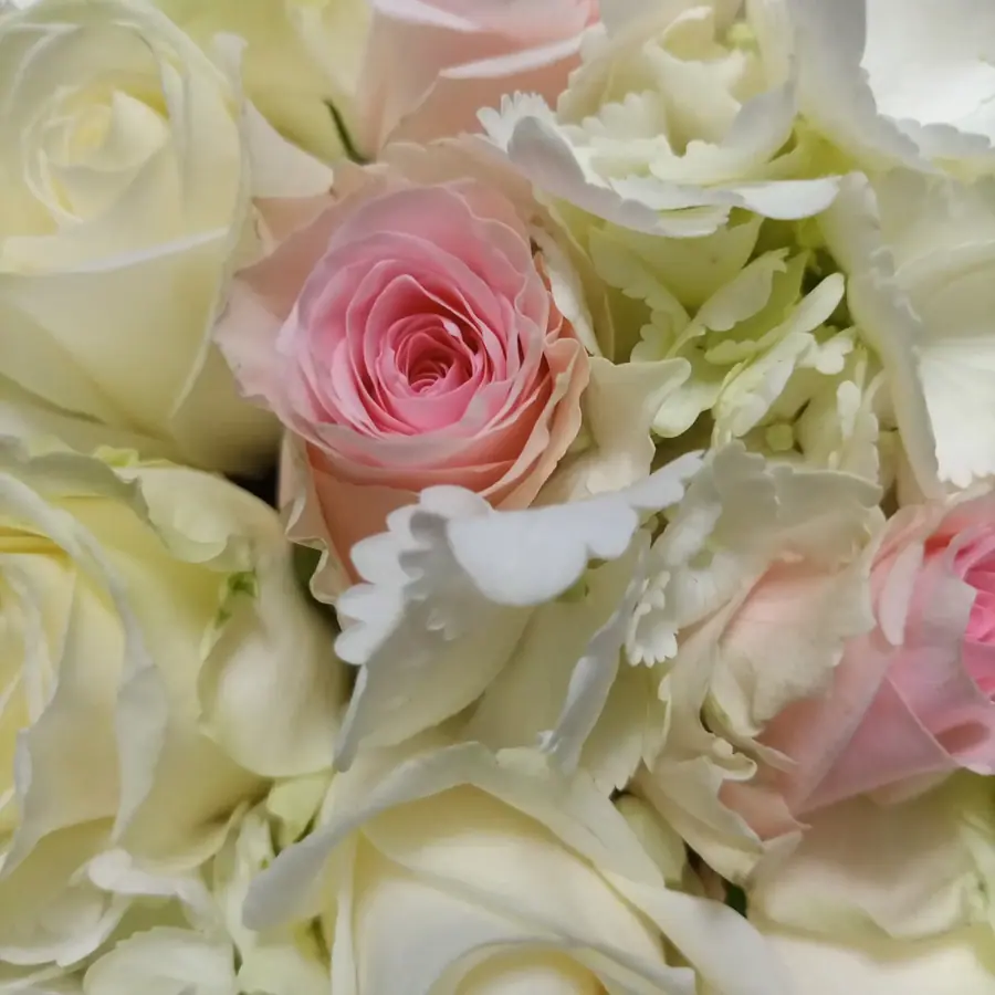 Gros plan de fleurs fraîches réalisée par MC Maison des Créations, fleuriste à Beuvrages