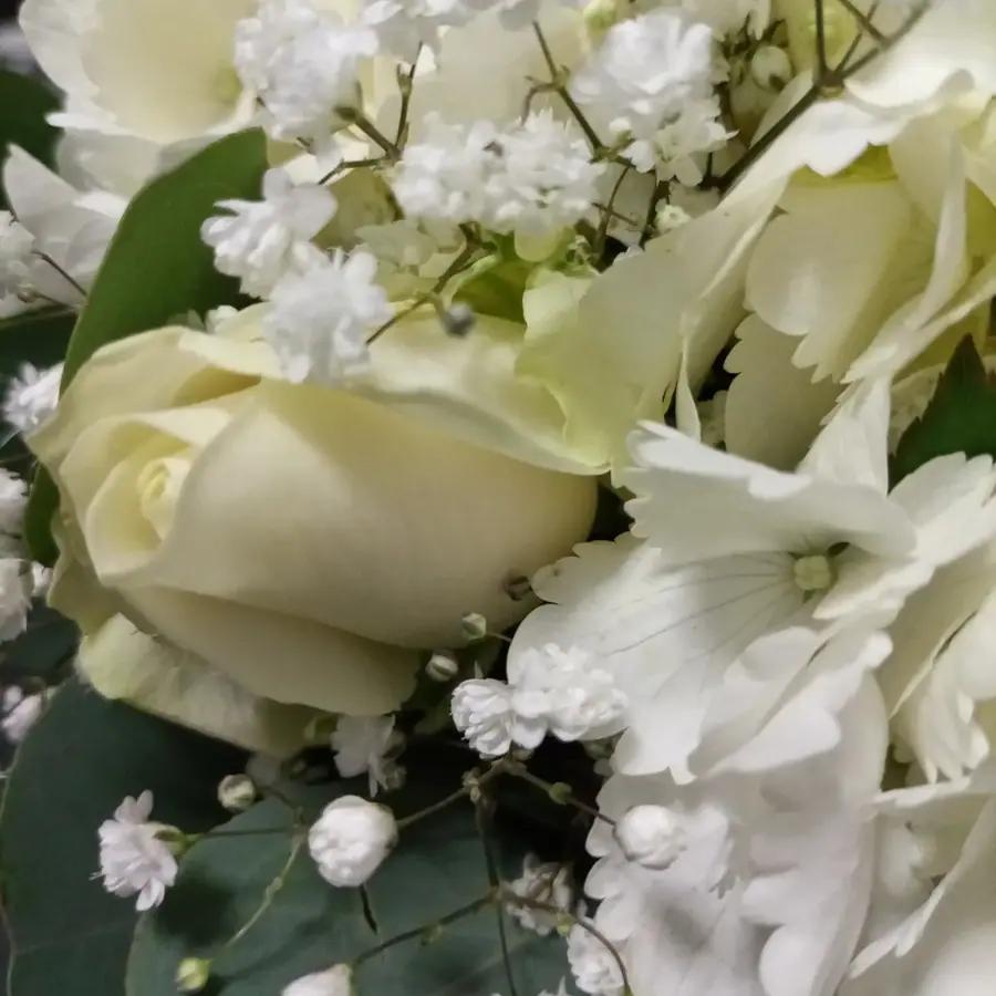 Gros plan de fleurs fraîches réalisée par MC Maison des Créations, fleuriste à Beuvrages