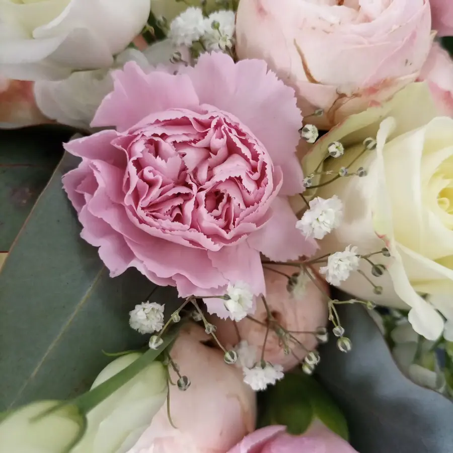 Gros plan de fleurs fraîches réalisée par MC Maison des Créations, fleuriste à Beuvrages