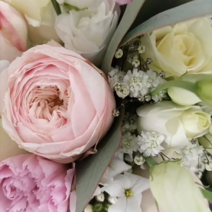 Gros plan de fleurs fraîches réalisée par MC Maison des Créations, fleuriste à Beuvrages