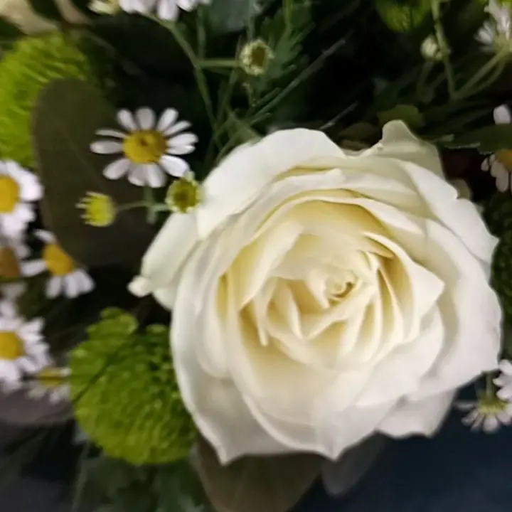 Gros plan de fleurs fraîches réalisée par MC Maison des Créations, fleuriste à Beuvrages