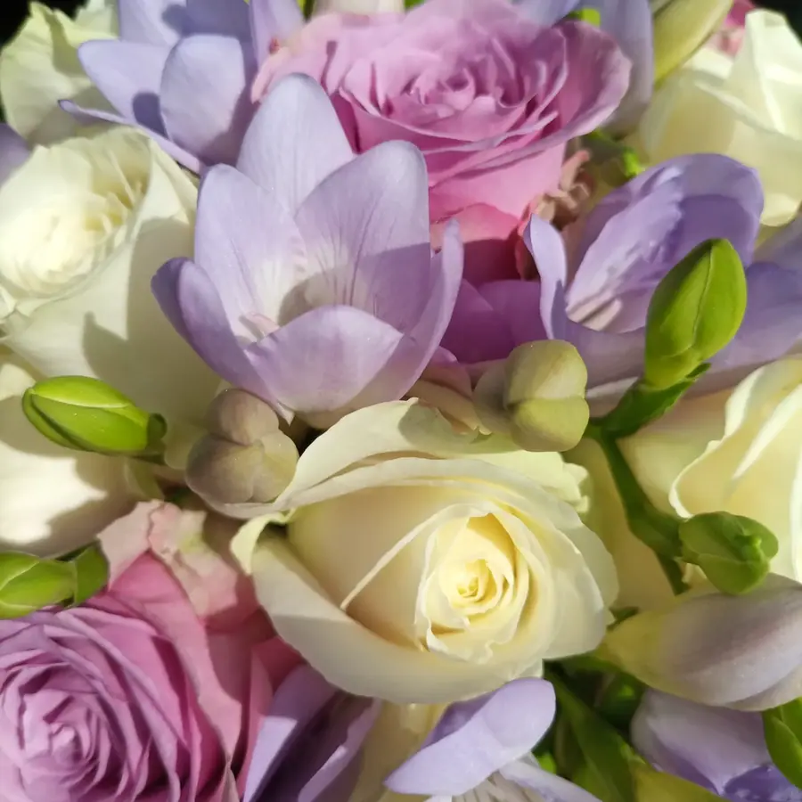 Gros plan de fleurs fraîches réalisée par MC Maison des Créations, fleuriste à Beuvrages