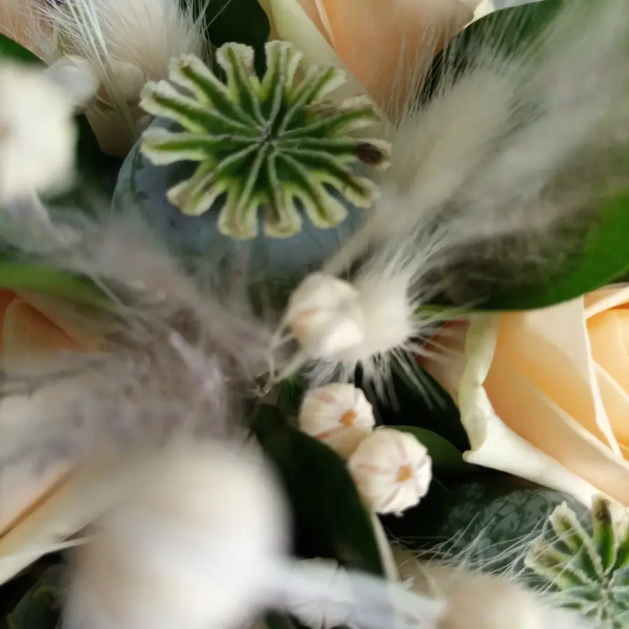 Gros plan de fleurs fraîches réalisée par MC Maison des Créations, fleuriste à Beuvrages