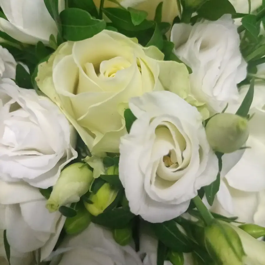 Gros plan de fleurs fraîches réalisée par MC Maison des Créations, fleuriste à Beuvrages