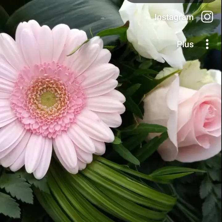 Gros plan de fleurs fraîches réalisée par MC Maison des Créations, fleuriste à Beuvrages