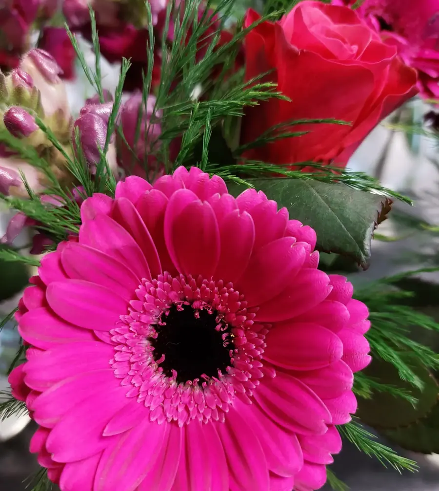 Gros plan de fleurs fraîches réalisée par MC Maison des Créations, fleuriste à Beuvrages
