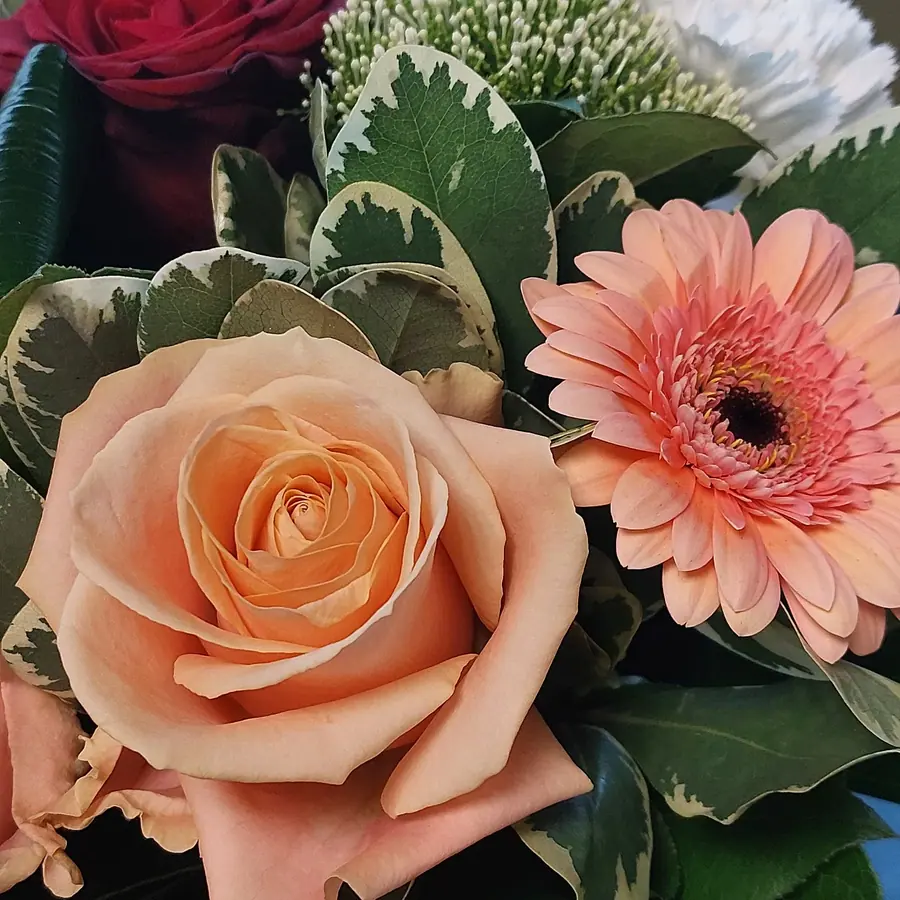 Gros plan de fleurs fraîches réalisée par MC Maison des Créations, fleuriste à Beuvrages