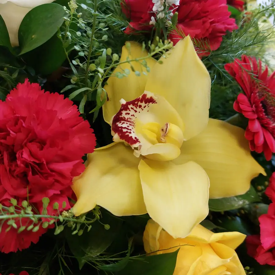 Gros plan de fleurs fraîches réalisée par MC Maison des Créations, fleuriste à Beuvrages