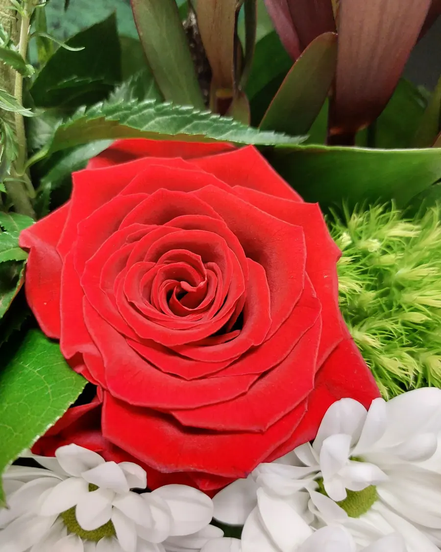 Gros plan de fleurs fraîches réalisée par MC Maison des Créations, fleuriste à Beuvrages