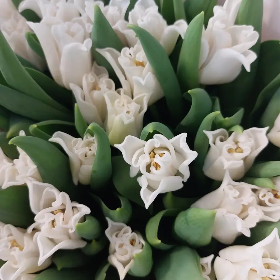 Gros plan de fleurs fraîches réalisée par MC Maison des Créations, fleuriste à Beuvrages