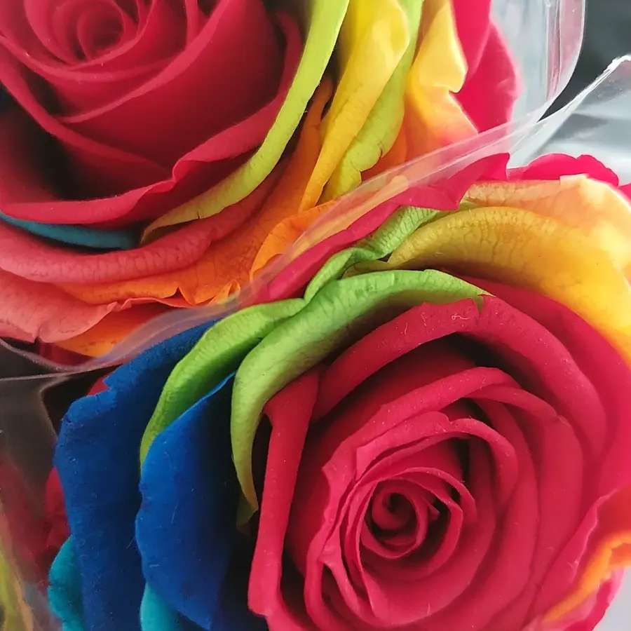 Gros plan de fleurs fraîches réalisée par MC Maison des Créations, fleuriste à Beuvrages