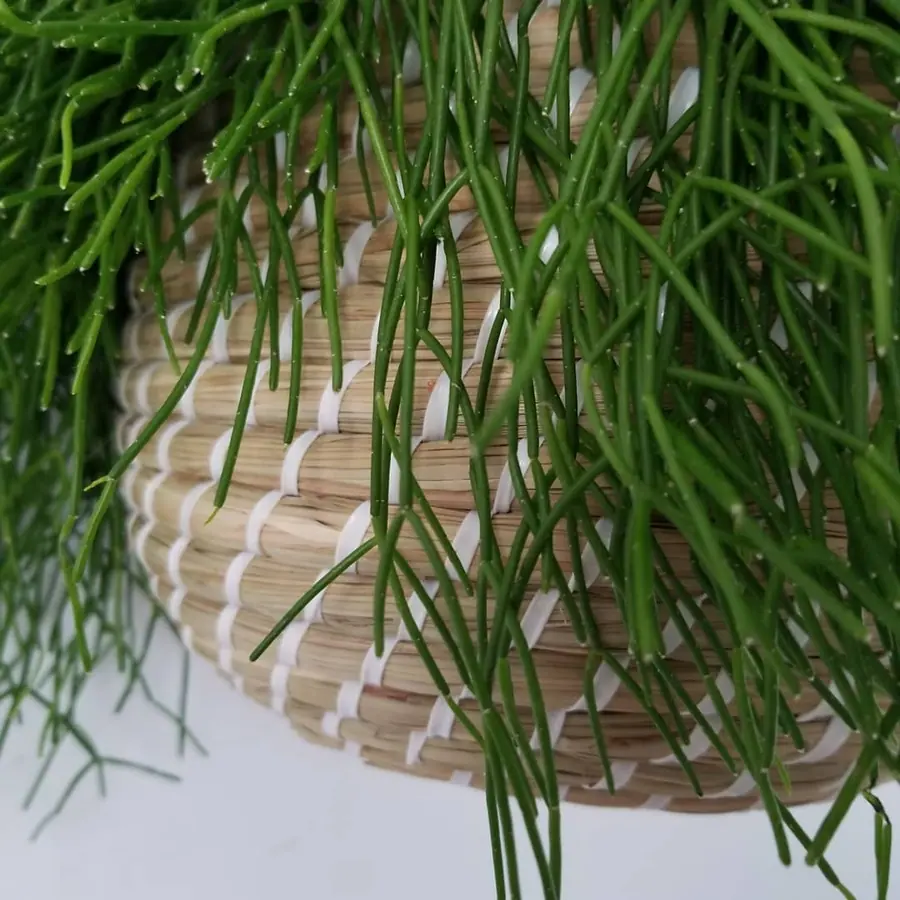 Décoration florale de Noël réalisée par MC Maison des Créations, fleuriste à Beuvrages