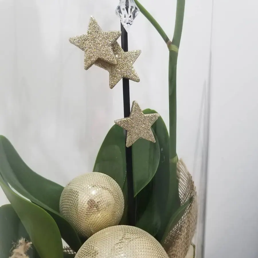 Décoration florale de Noël réalisée par MC Maison des Créations, fleuriste à Beuvrages