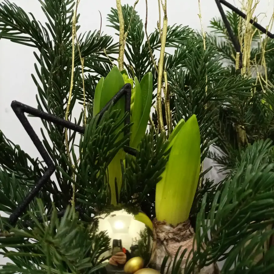 Décoration florale de Noël réalisée par MC Maison des Créations, fleuriste à Beuvrages