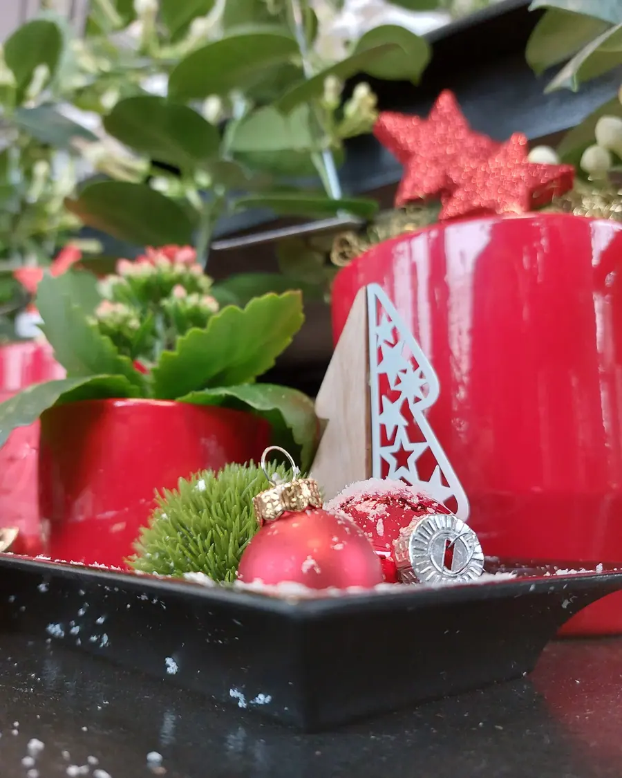 Décoration florale de Noël réalisée par MC Maison des Créations, fleuriste à Beuvrages