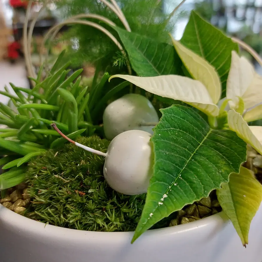 Décoration florale de Noël réalisée par MC Maison des Créations, fleuriste à Beuvrages