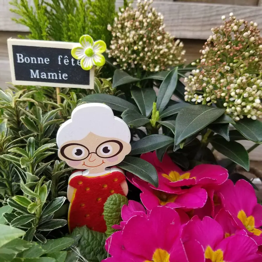 Plante et composition végétale réalisée par MC Maison des Créations, fleuriste à Beuvrages