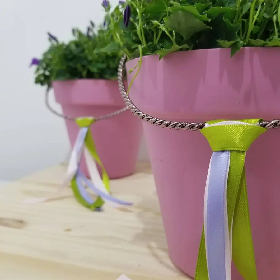 Plante et composition végétale réalisée par MC Maison des Créations, fleuriste à Beuvrages