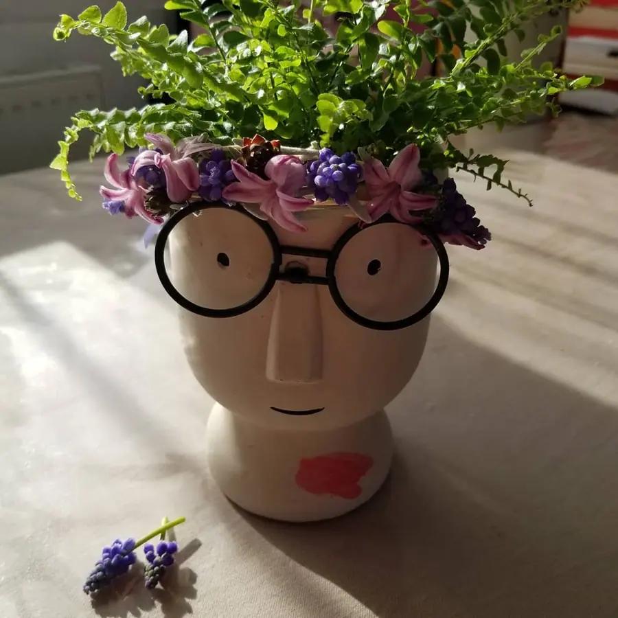 Plante et composition végétale réalisée par MC Maison des Créations, fleuriste à Beuvrages