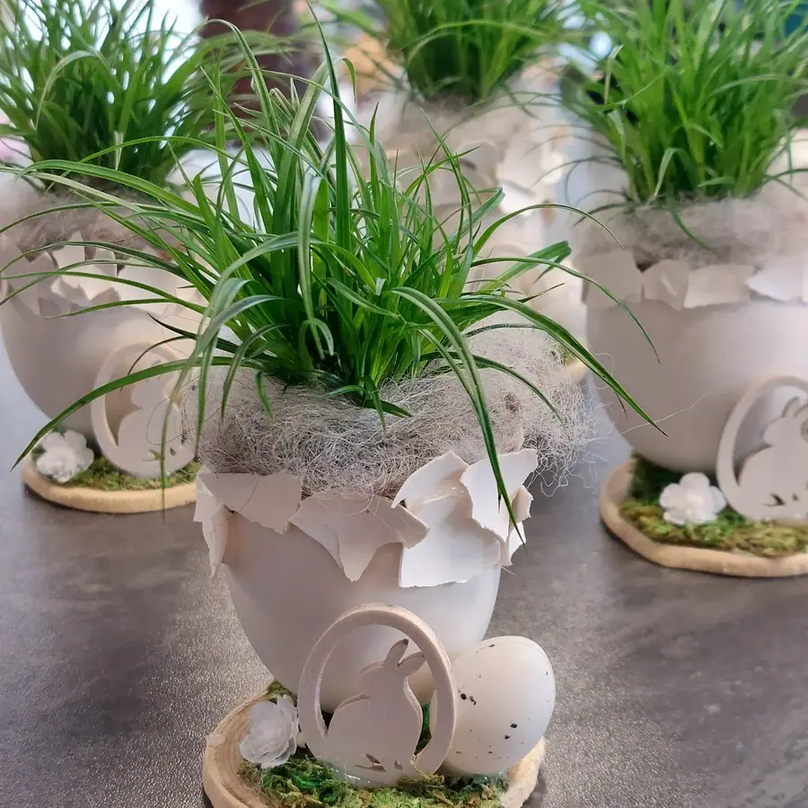 Plante et composition végétale réalisée par MC Maison des Créations, fleuriste à Beuvrages