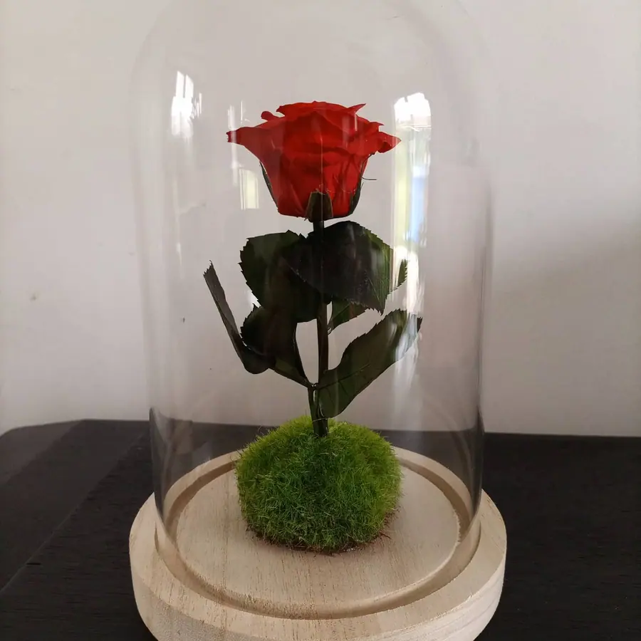 Composition en fleurs séchées réalisée par MC Maison des Créations, fleuriste à Beuvrages